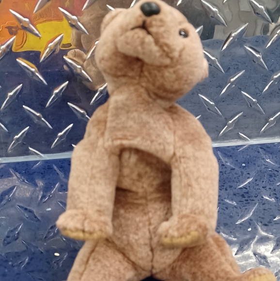 -Ty Beanie Baby - PECAN THE BEAR Beanbag Sitting Plush [Toy] - Picture 5 of 7